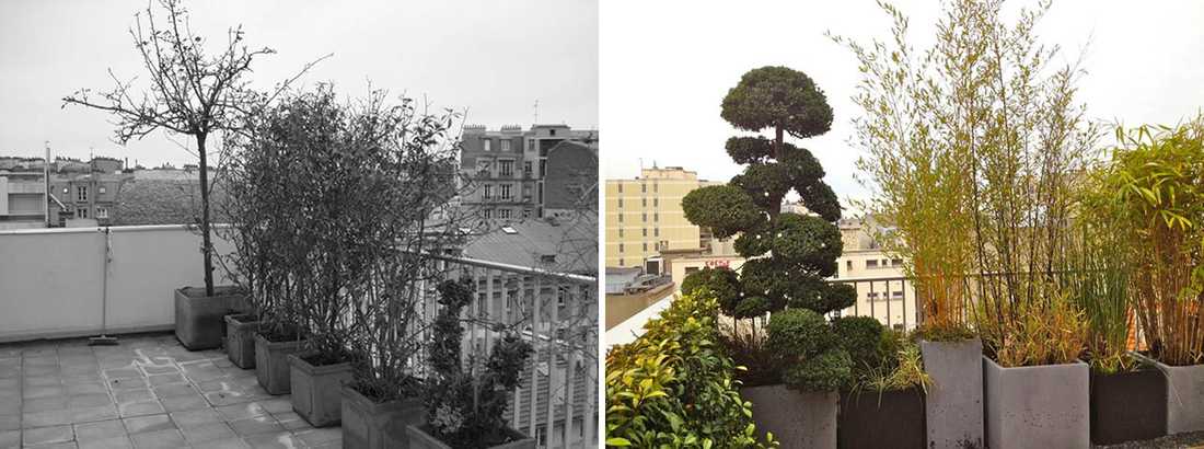 Avant - Après : Aménagement paysagé d'une terrasse avec vue à Nîmes