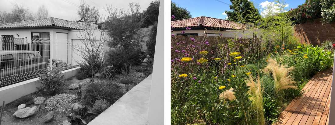 Avant-après de l'aménagement d'une petit jardin dans un lotissement par un paysagiste dans le Gard
