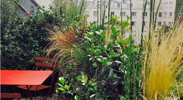 Avant aprés de la rénovation d'une terrasse sur un toit en zinc dans un appartement à Nîmes