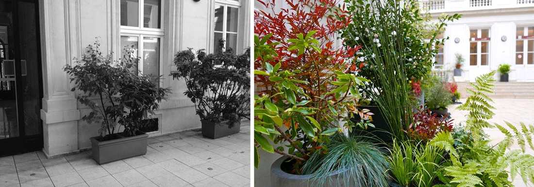 Un jardinier paysagiste aménage la cour intérieure d'un hôtel particulier à Nîmes