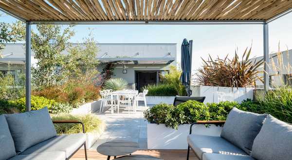A landscape designers renovates a pool space in a garden in Nîmes