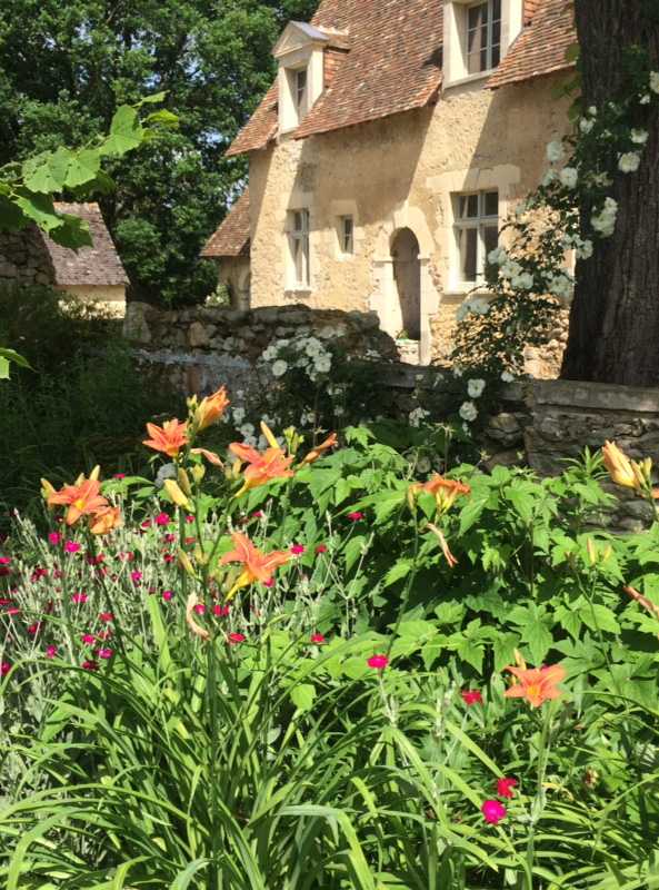 Fleurs d'orangés dans un jardin dans le Gard