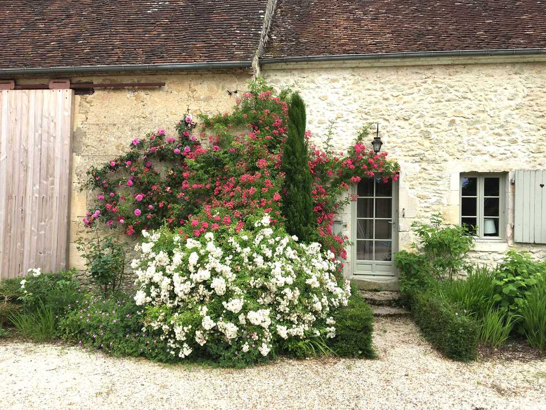 Jardin d'une maison ancienne à Nîmes