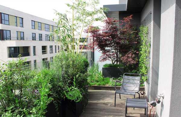 Aménagement paysager de la terrasse d'un penthouse à Nîmes.