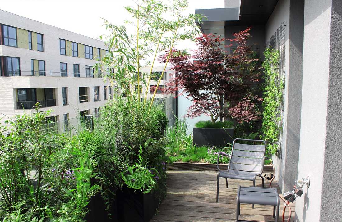 Aménagement paysager de la terrasse d'un penthouse à Nîmes