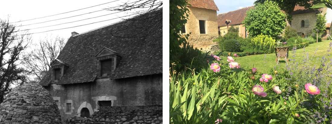 Avant-après : friche transformée en jardin par un paysagiste