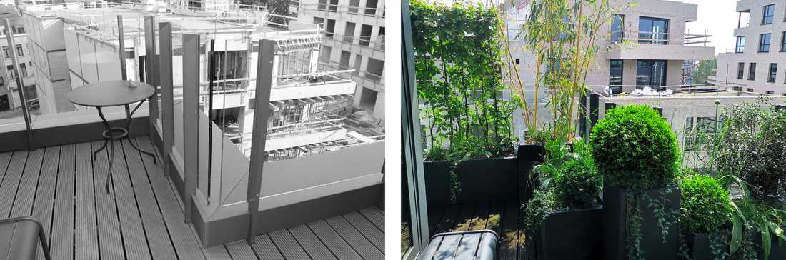 Aménagement paysager de la terrasse d'un immeuble moderne