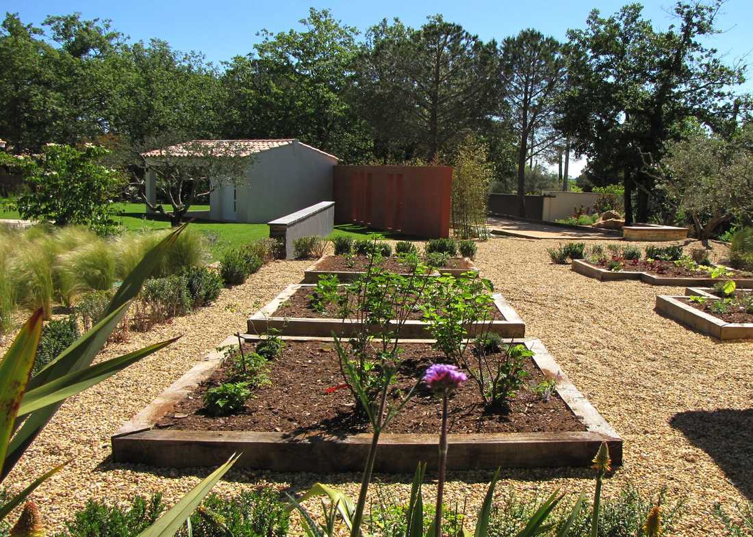 Potager méditerrannéen réalisé par un jardinier paysagiste à Nîmes