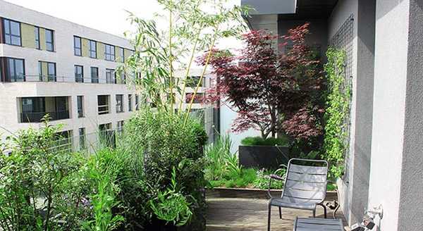 Aménagement de la terrasse d'un penthouse par un paysagiste à Nîmes